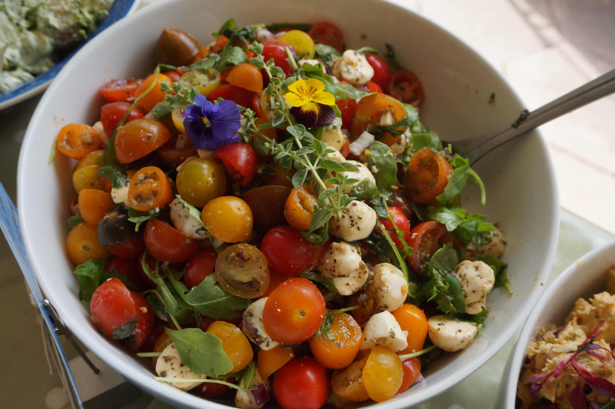 Tomato, Mozzarella & Basil Salad